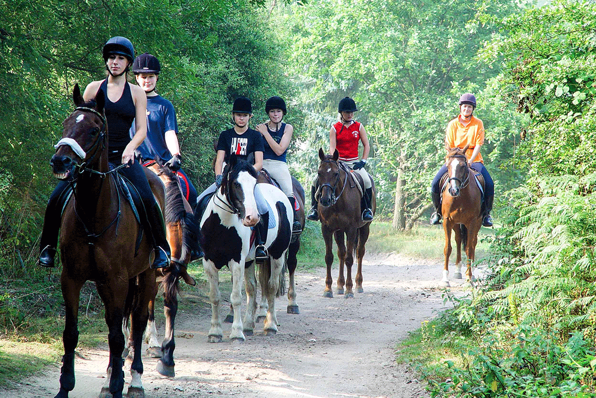 British Summer School students riding horses